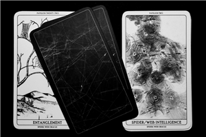 Spytec Gps App on Iphone