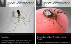 Spyhuman App Install