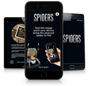 Is There an App I Can Use to Spy on a Phone