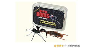 Iphone Monitoring Spy App