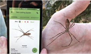 Best Spy Apps for Android 2018