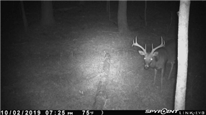 App to Install on Android to Spy