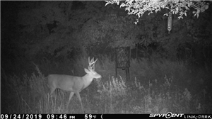 Top Spy Camera Apps for Android