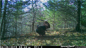 Best Spy App for Iphone in India