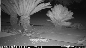 App to Spy Mobile Phone