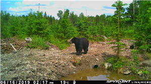 Best Spy Video Recorder App for Iphone