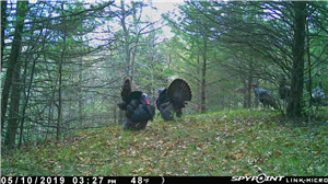 Appspy Phone Tracker App