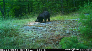 Spy Tracking App Iphone