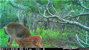 Spy Voice Recording App for Android