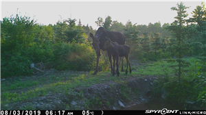 Download Xnore Spy App Apk