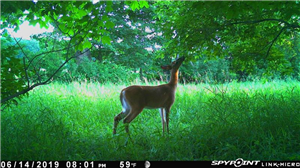 App Spy Android Free