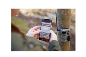 Télécharger Whatsapp Spy Tool